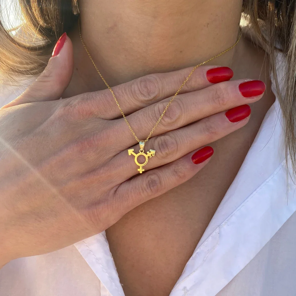 Paslanmaz çelik kolye Trans gurur takı LGBT gurur takı transseksüel kolye hediye onun onun noel hediyesi