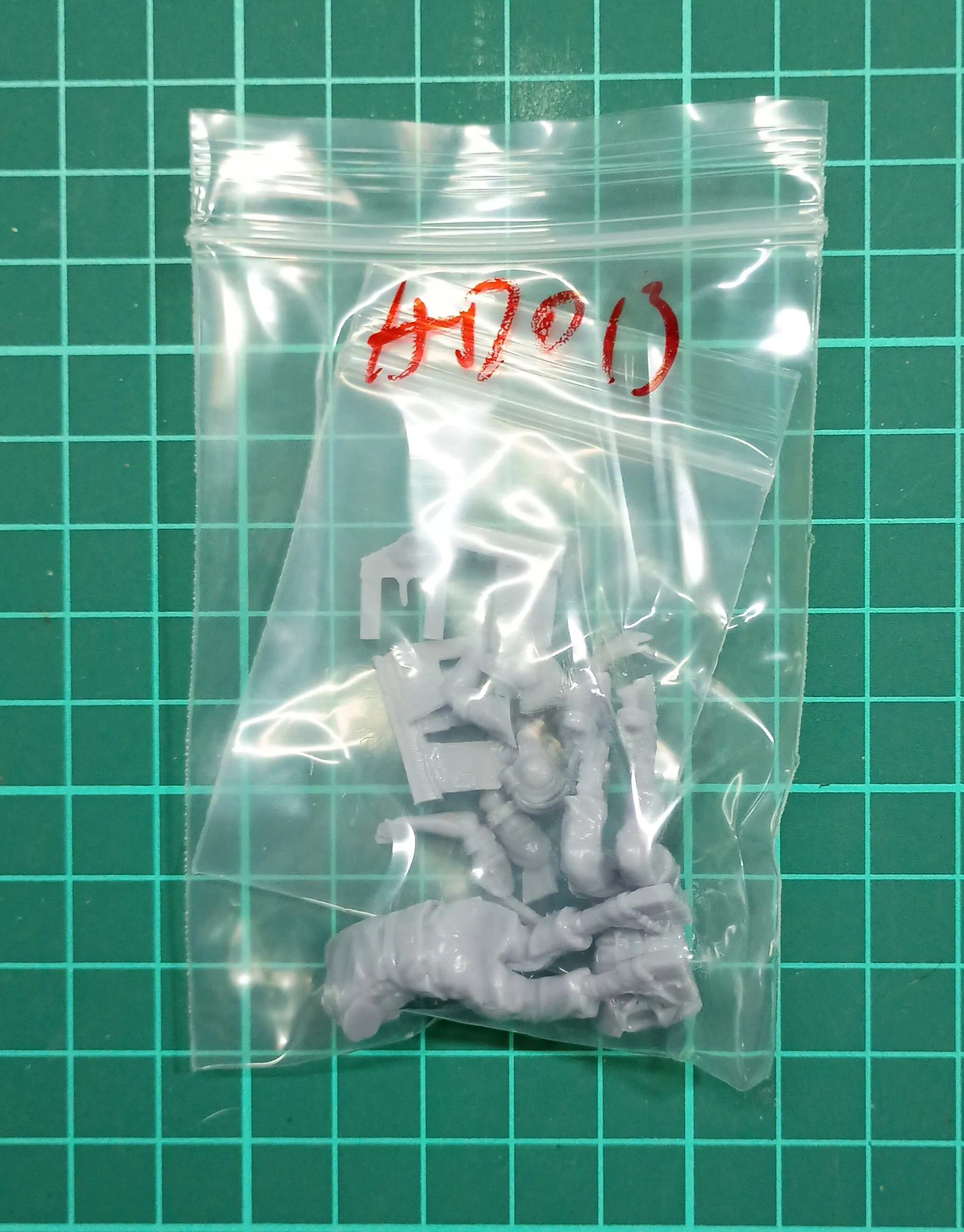 Buyer photo of this resin kit