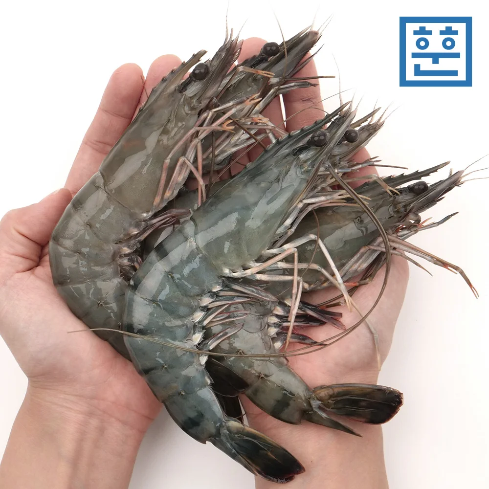 [Hun Hun Fisheries] Black Tiger Shrimp (Camping Food, Frozen Shrimp, Chewy texture, Sour flavor)