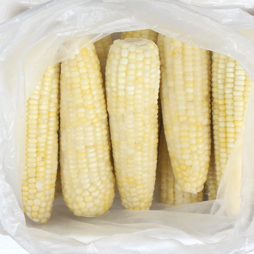 바로먹는 백찰 찐옥수수 10개 / 20개 특대16cm이상 맛있게 쪄서 급냉한 쫀득하고 찰진옥수수 전자렌지ok!