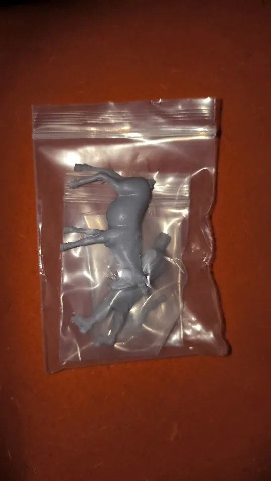 Buyer photo of this resin kit