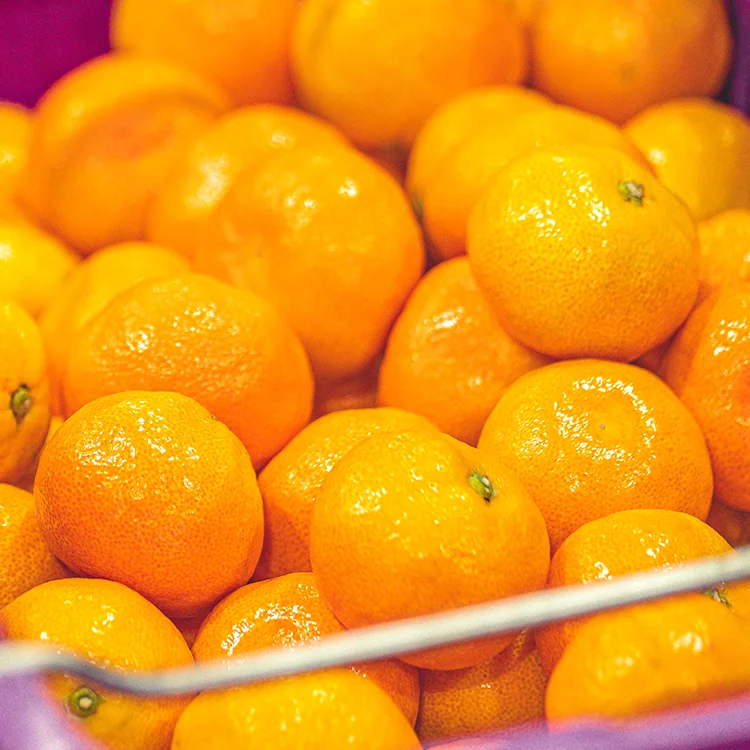 كمية محدودة يومية مكونة من 200 صندوقًا [حجم كبير] Seogwipo اليوسفي للمنزل المفتوح 5 كجم 9 كجم لحدث الموسم