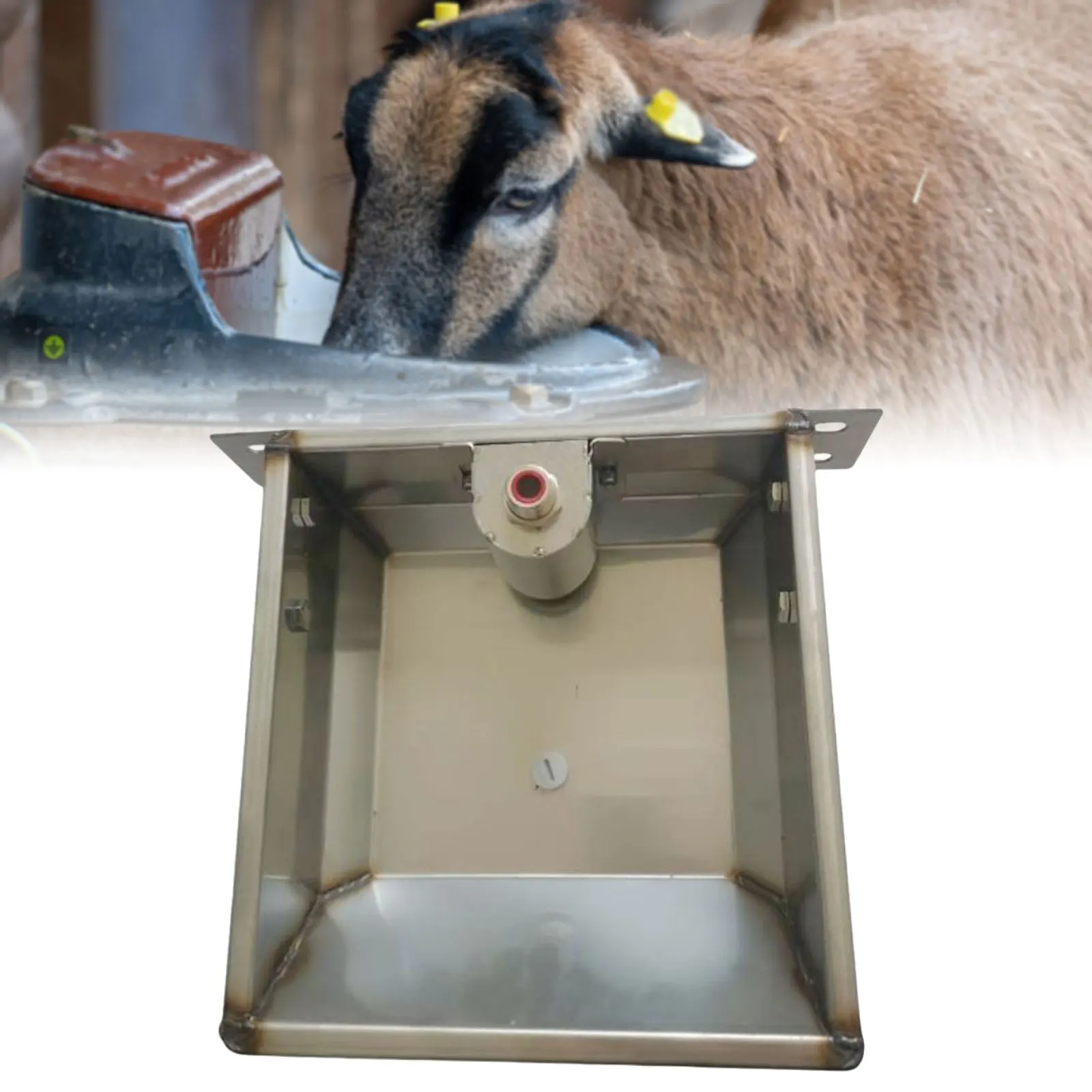 Thumbnail 2 - #1 Trending Automatic Livestock Feeders Right Now