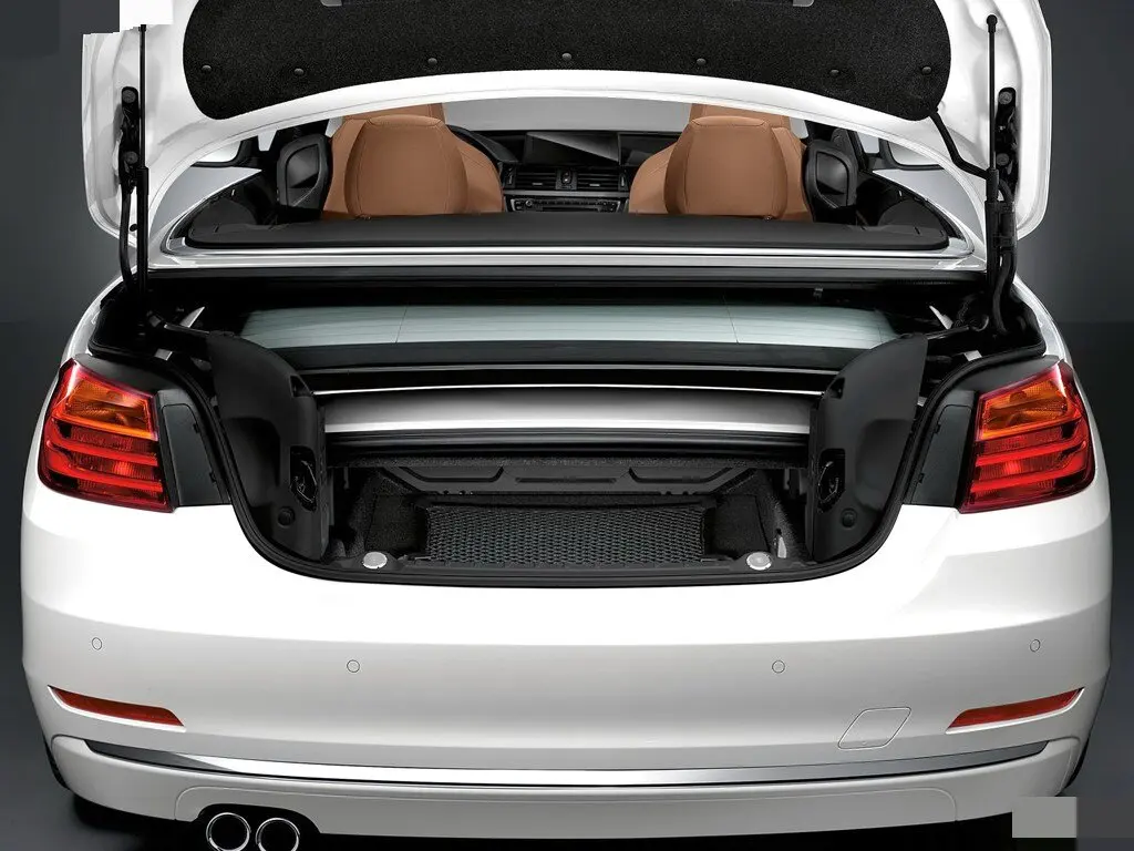 

520 мм, 2 шт. Амортизаторы задней двери для BMW 4 Convertible (F33/F83) 2013.10-2020.08, газовые пружины-упоры для багажника, подъемные стойки