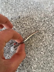 Imagen de reseña 6