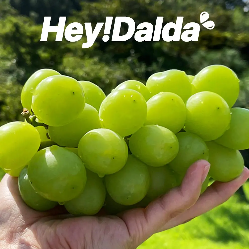 [هايدالدا] مسقط لامع مضمون الذوق 2 كجم عنب أخضر لامع