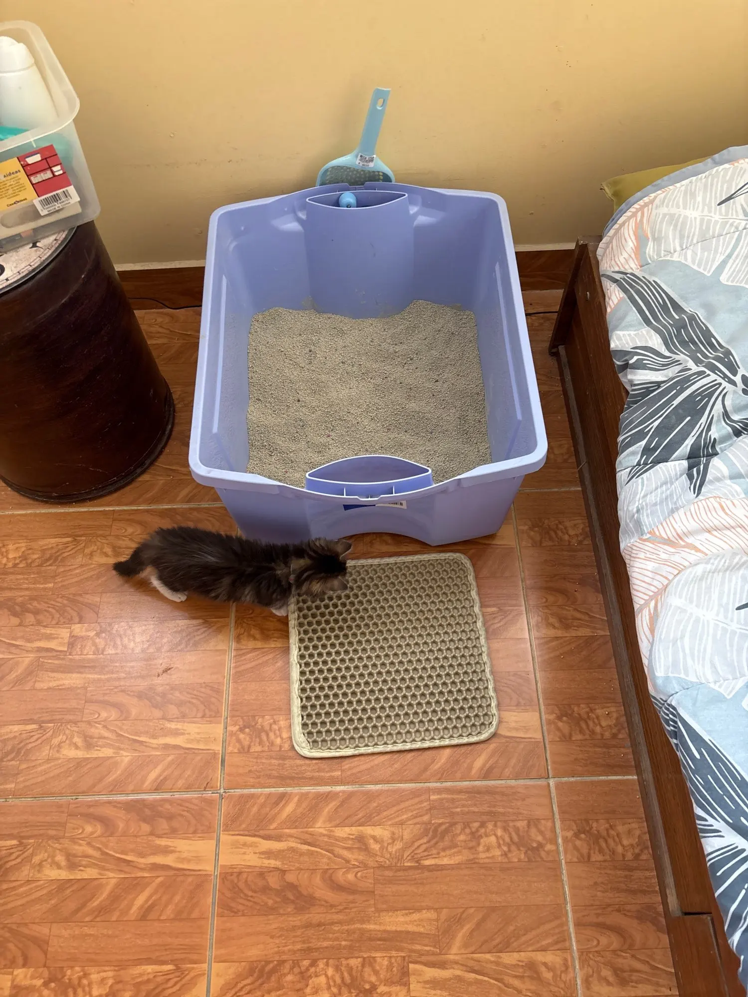 Customer review photo for Honeycomb Cat Litter Mat