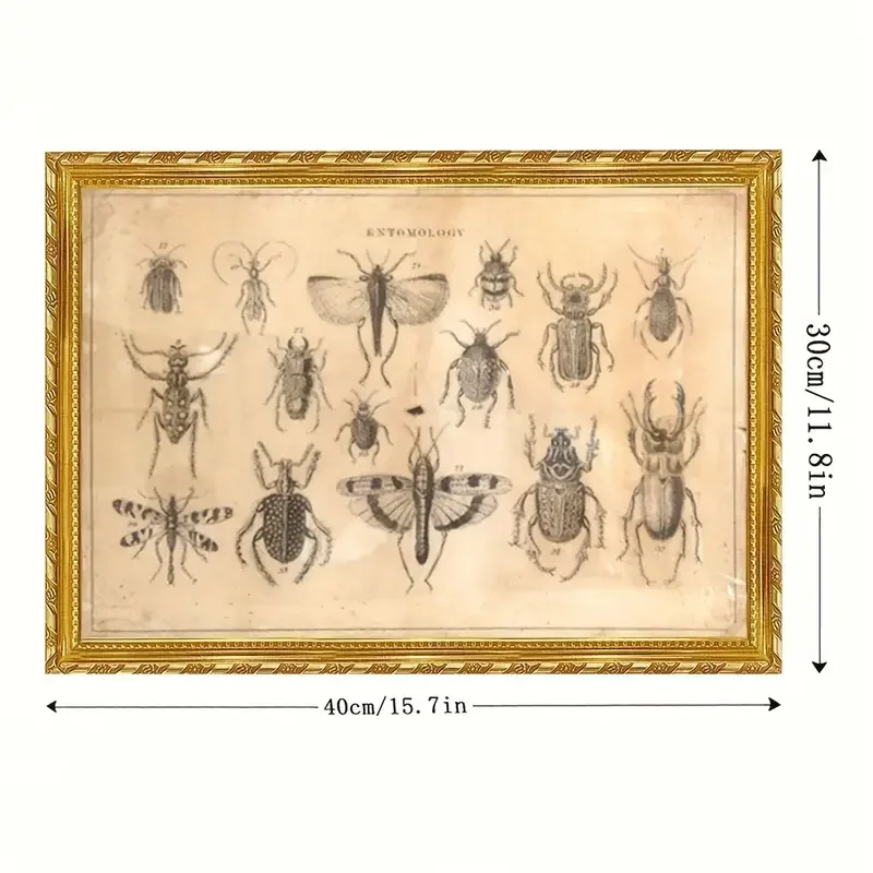 Vintage Victorian Entomology Canvas Art Frameless Decorative Paintings Suitable For Home Bedrooms Elegant Wall Decor For Living