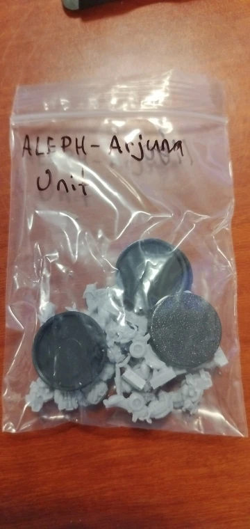 Buyer photo of this resin kit