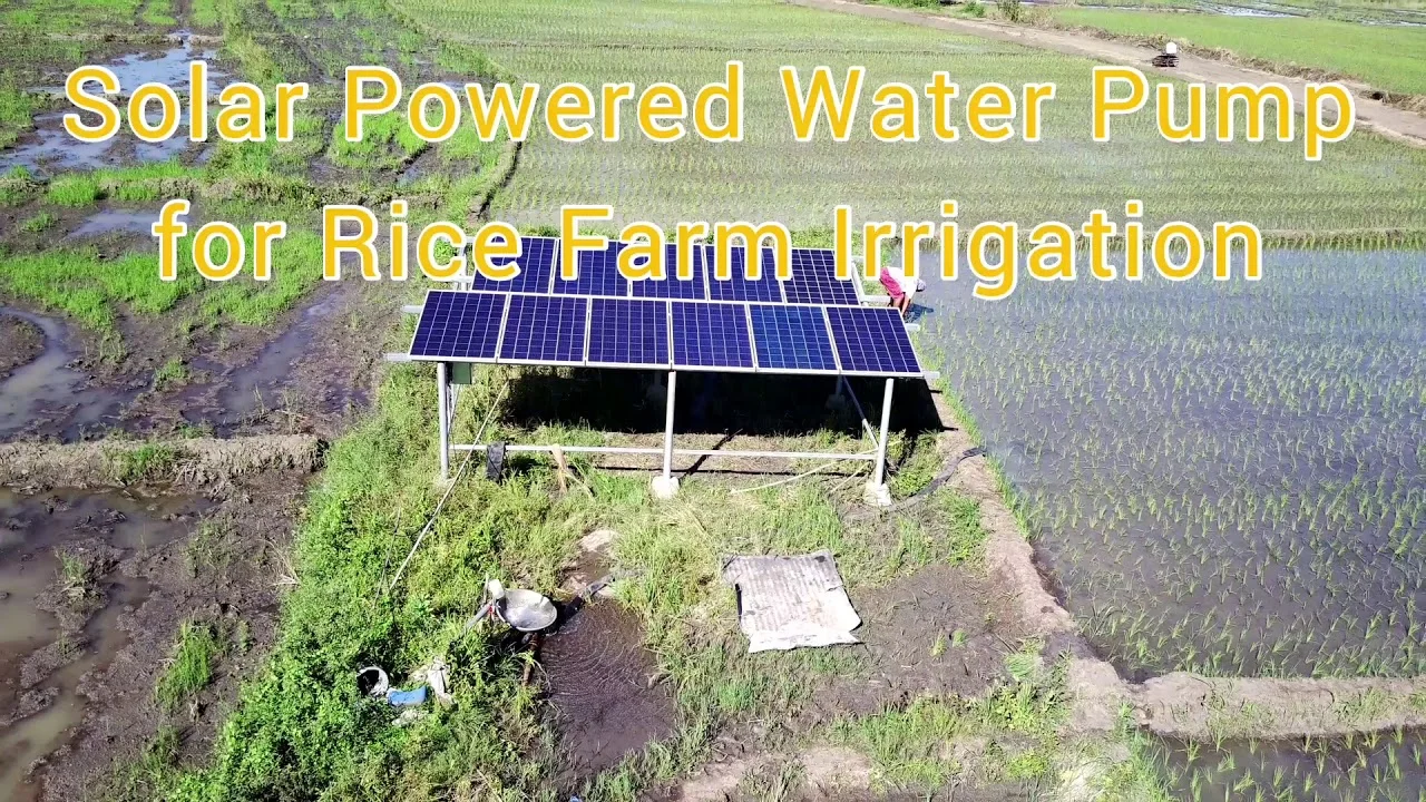 HZUSUN 1300 واط BLDC تعمل بالطاقة الشمسية مضخة مياه المزرعة الغاطسة 1.5 ''الأنابيب مضخة الآبار الشمسية نظام أدوات الري للري ديرب #1