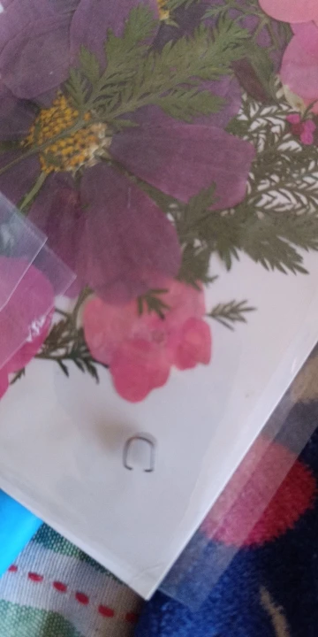 리뷰 사진