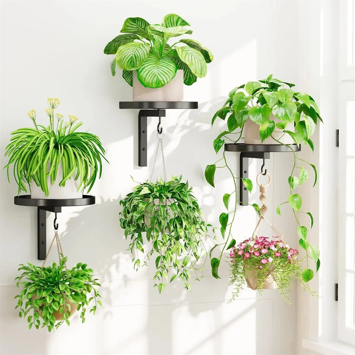 1pc Black Wall Plant Holder for Indoor Outdoor Metal Hanger with Hook Floating Flower Display Stand for Window Space Saving