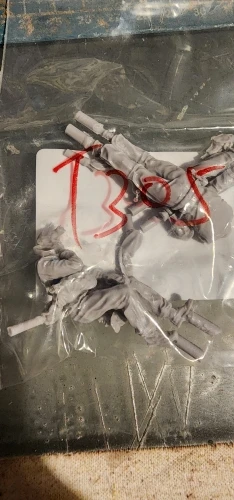 Buyer photo of this resin kit