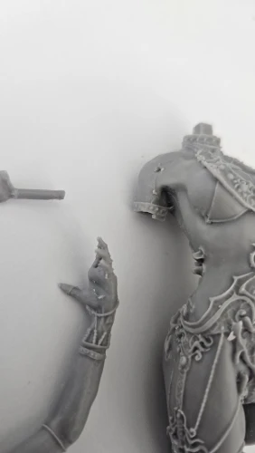 Buyer photo of this resin kit