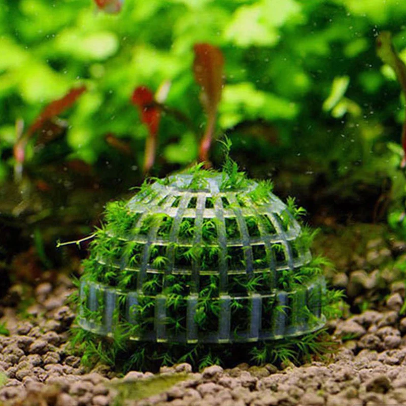 1pc Aquatic Pet Supplies Decorations Aquarium Moss Ball Live Plants Filter For Java Shrimps Fish Tank Pet Fish Tank Decor