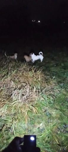 리뷰 사진