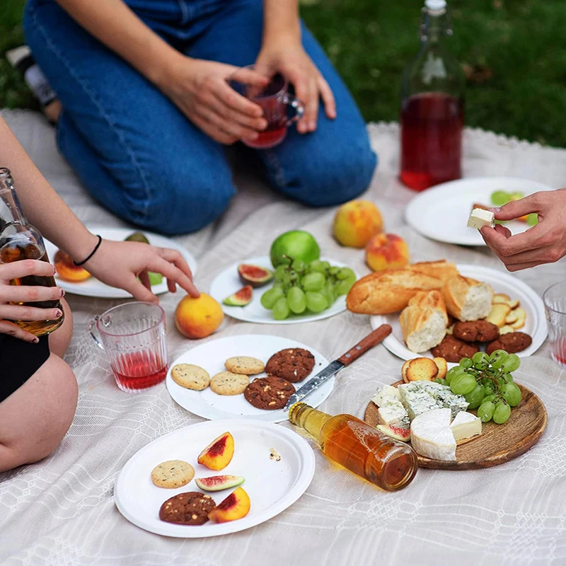 

Premium 9-Inch Paper Plate, Multi-Purpose Portable, Essential for Party, Picnic & Kindergarten DIY