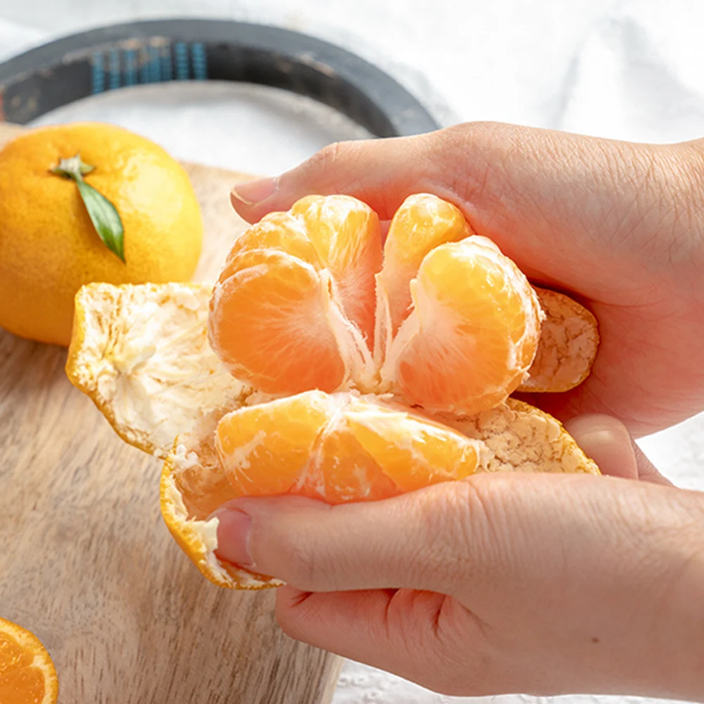 Jeju Noi Citrus 4.5kg 9kg