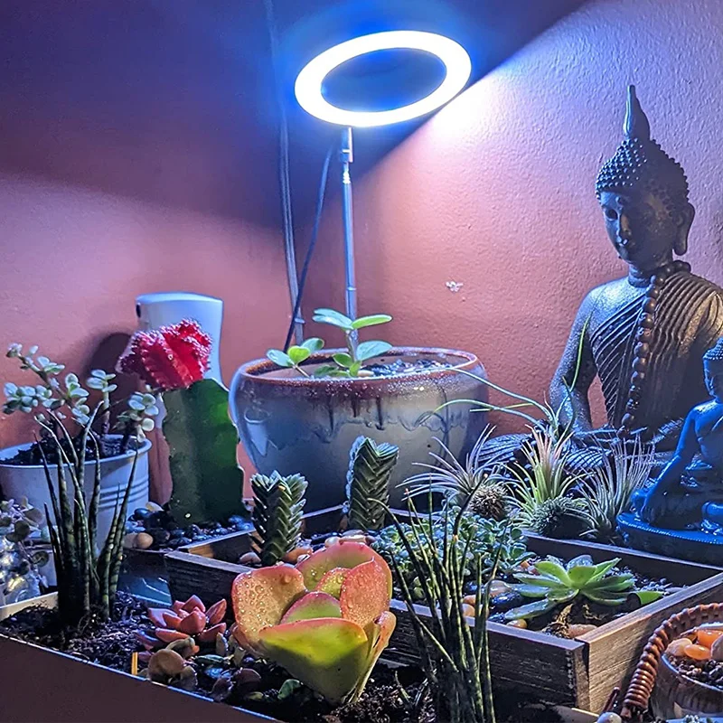 

LED Growth Light Grow Lamp Full Spectrum Plant Light With Control Lights Home Indoor Flower Seedling Phyto Lamp Plant Light Grow