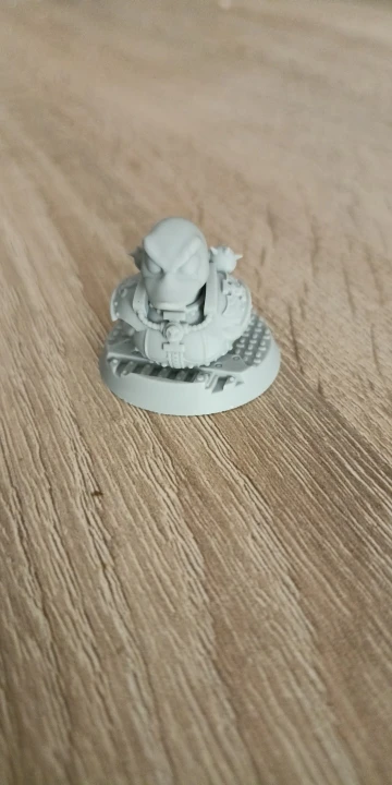 Buyer photo of this resin kit