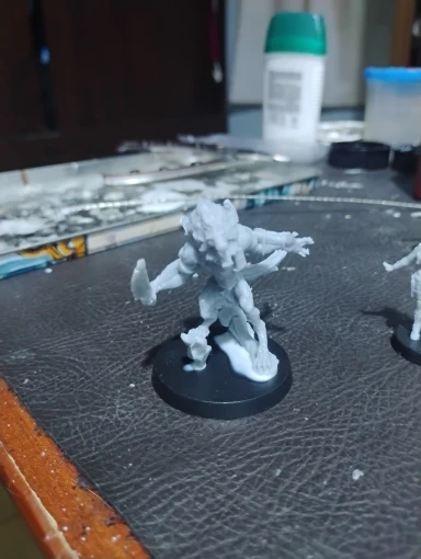 Buyer photo of this resin kit