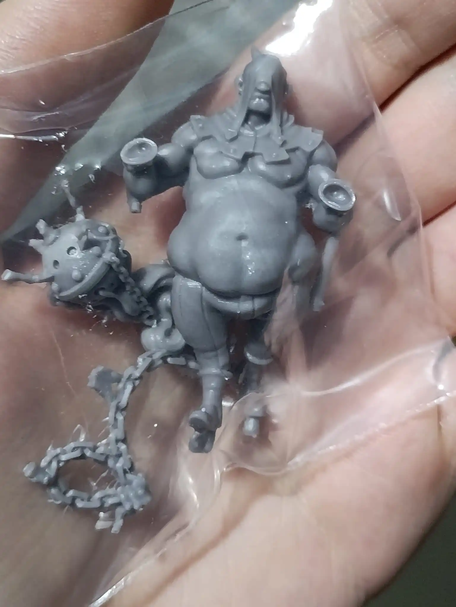 Buyer photo of this resin kit