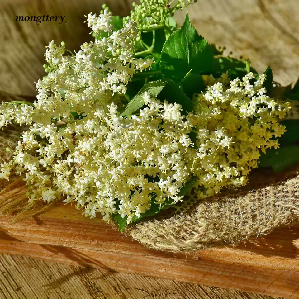 5. [알리단독특가 ..