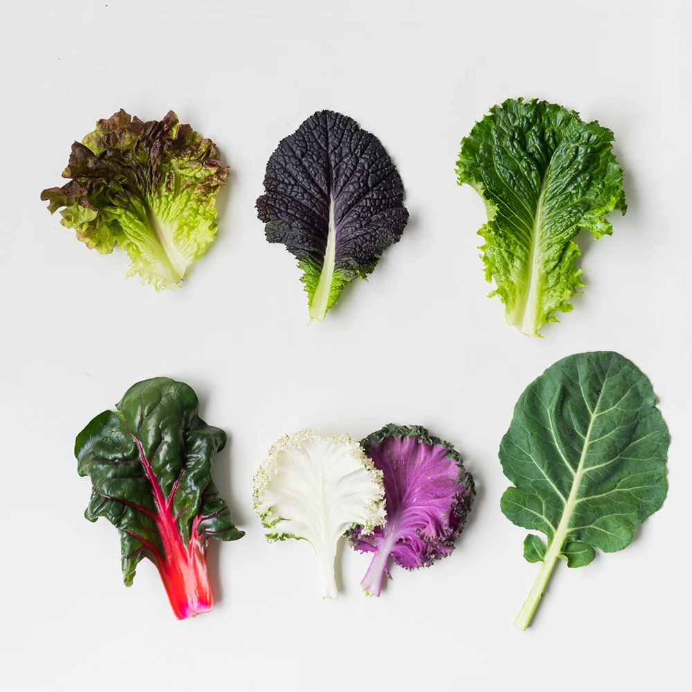 유러피안샐러드 모둠쌈채소 - 1