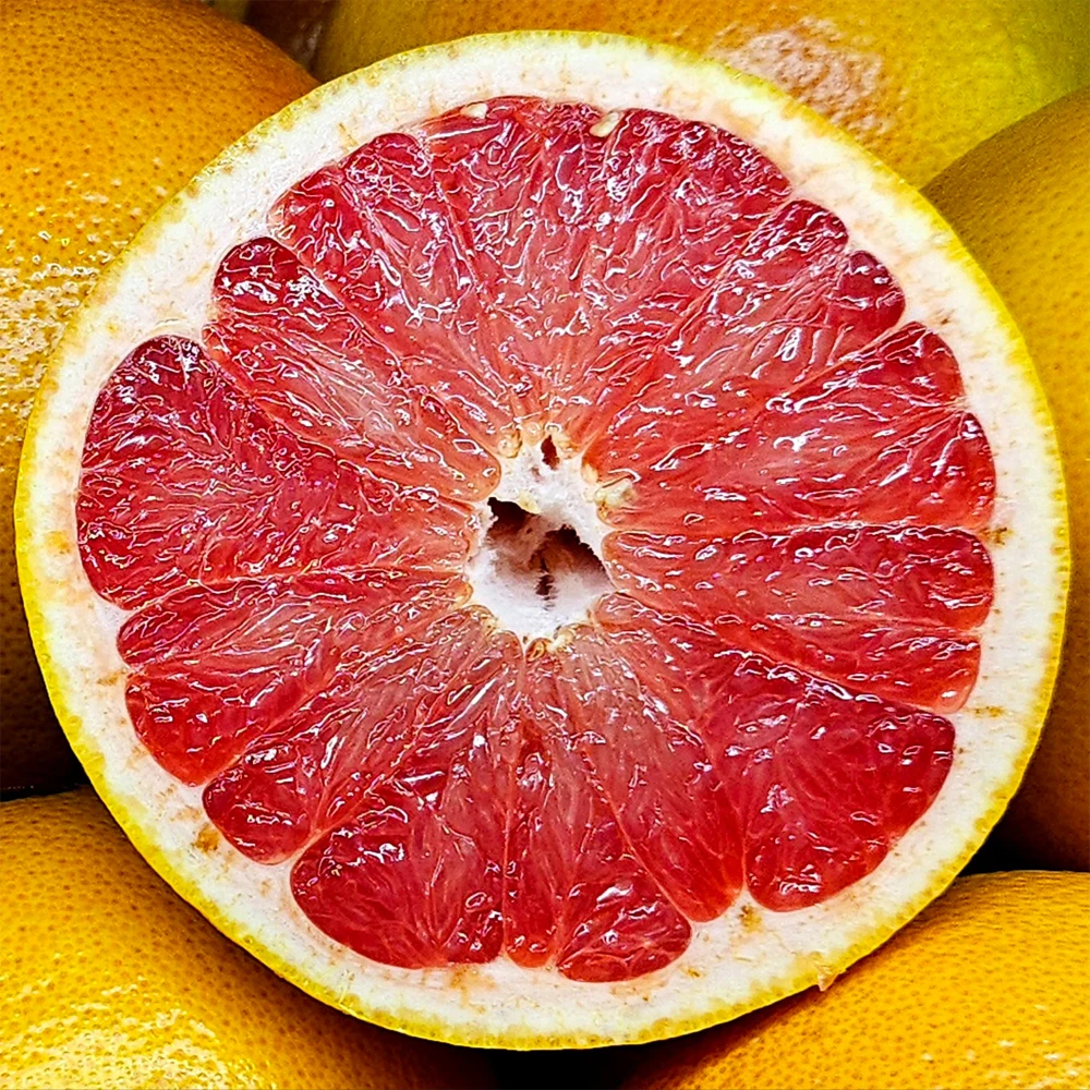 Best quality red grapefruit 6 mouth 15, 333g ~ 356g each