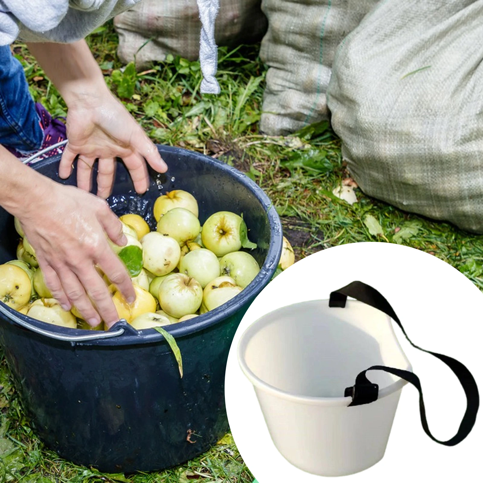 

Корзина для сбора ягод с регулируемым ремнем, корзина для урожая фруктов, органайзер, компактный садовый инструмент для фермы на заднем дворе в парке