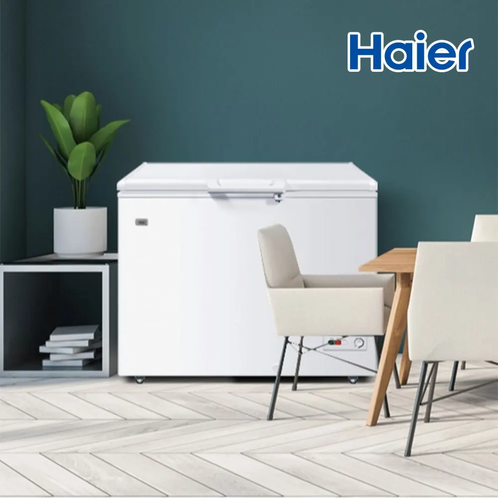 Haier home office freezer 319L _ door-to-door installation BDA-319H