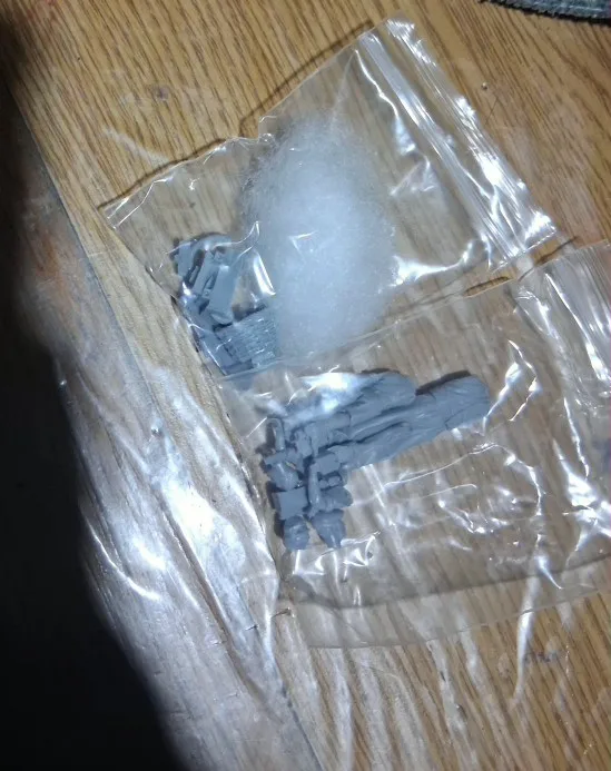 Buyer photo of this resin kit