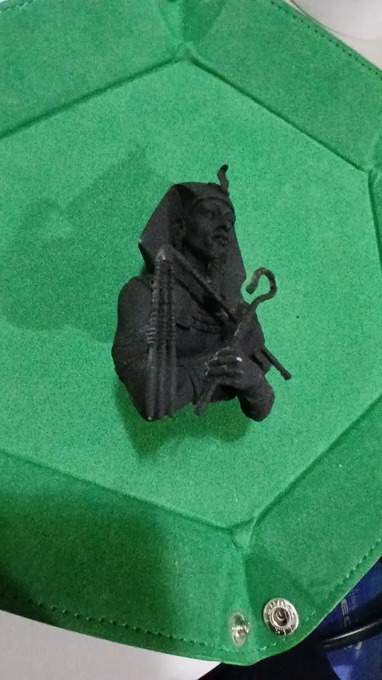 Buyer photo of this resin kit
