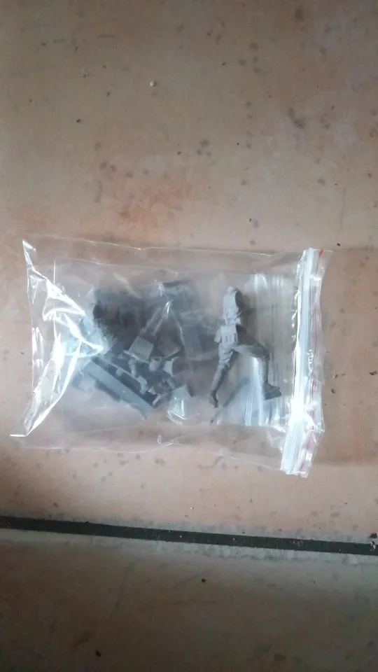 Buyer photo of this resin kit