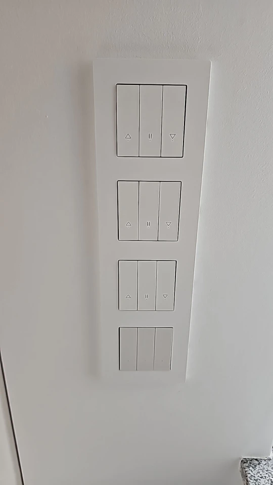 BSEED Zigbee 1/2/3/4Gang Smart Light Curtain Shutter Dimmer Switches Mechanical Buttons EU Sockets USBC DIY Parts Plastic Frames photo review