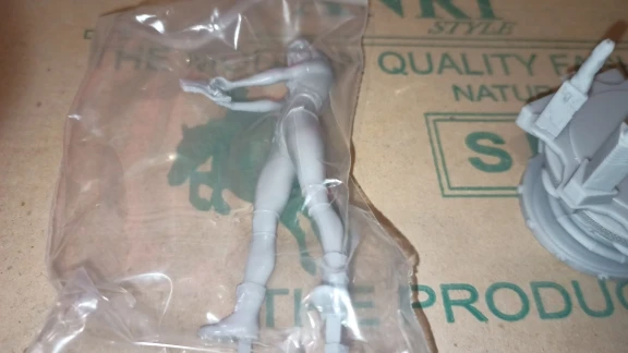 Buyer photo of this resin kit