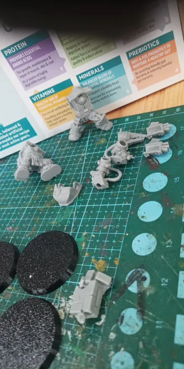Buyer photo of this resin kit