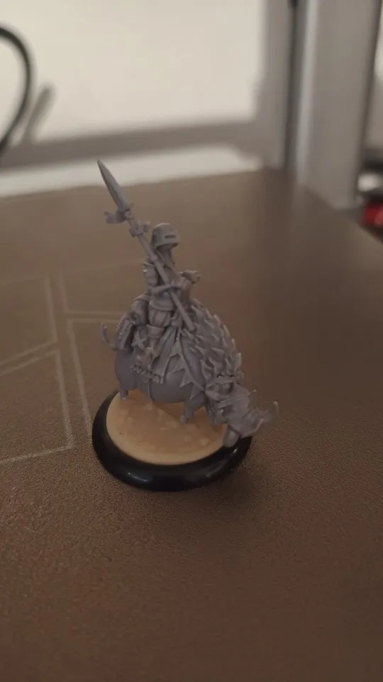 Buyer photo of this resin kit