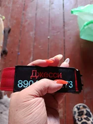 Imagen de reseña 1