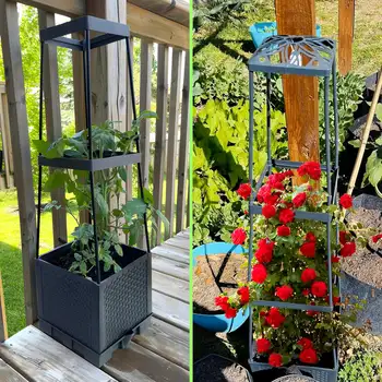 8 best sales Semillas de tomate - №2