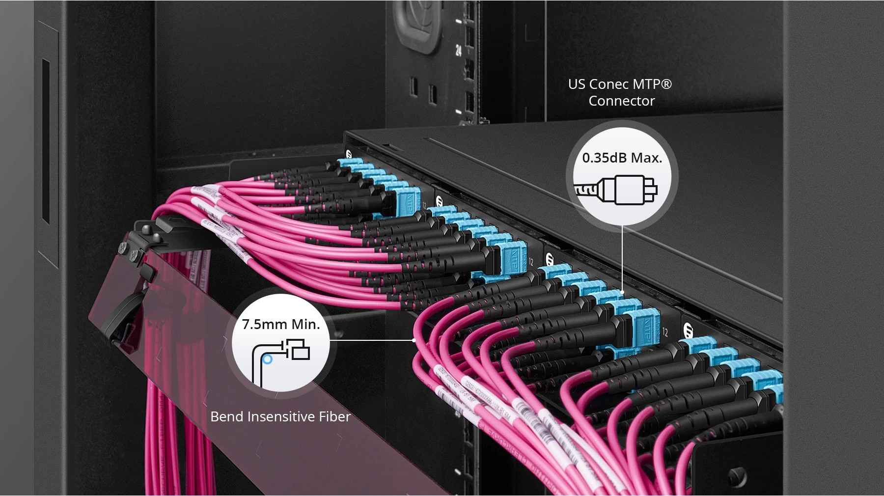 Fiber internal structure
