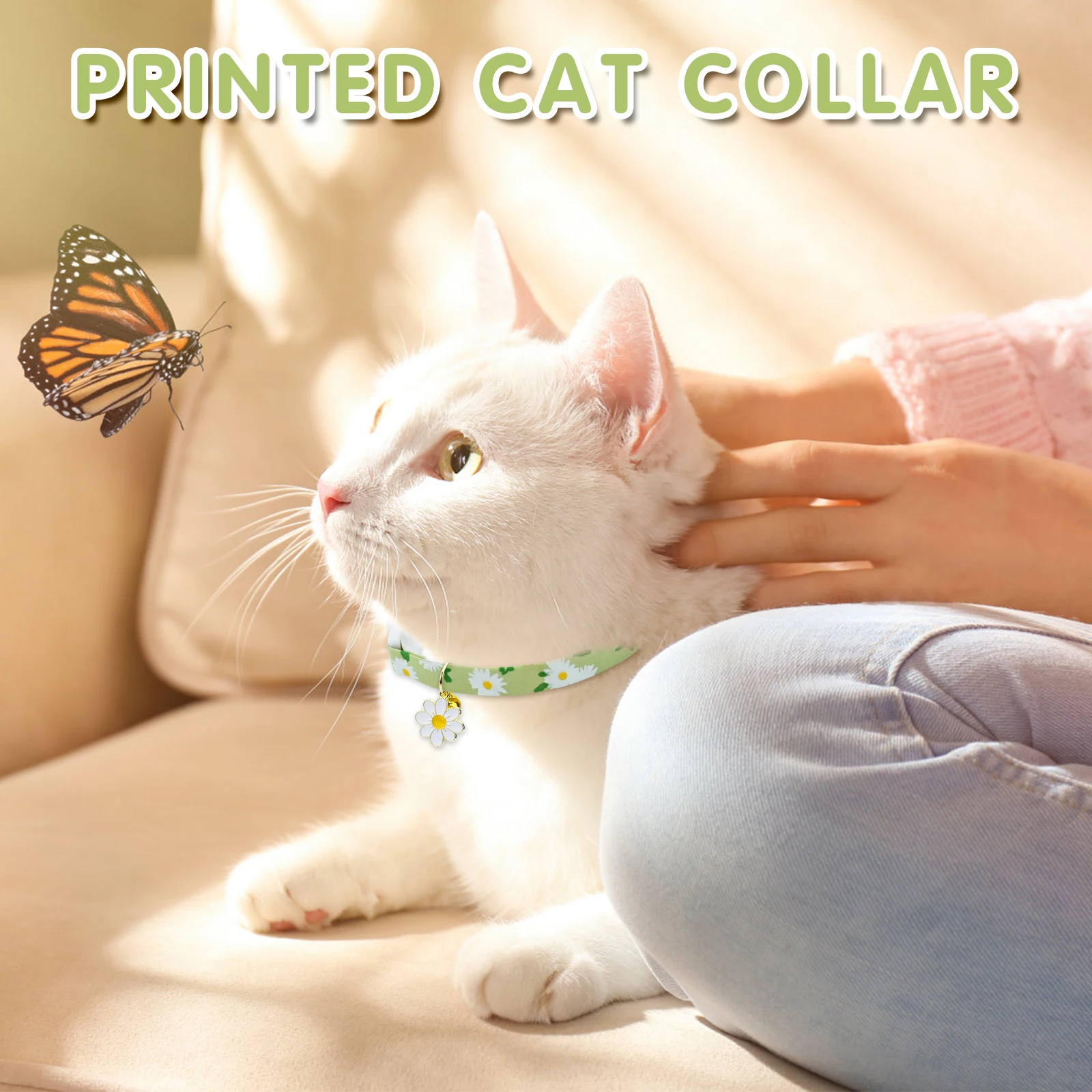 5 Pcs Cat Collar, Cat Safety Collar with Elastic Strap, Kitten Collar for Cat with Bell Black Blue Red Orange Lime Green ﻿\