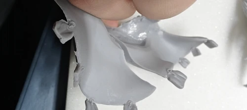 Buyer photo of this resin kit