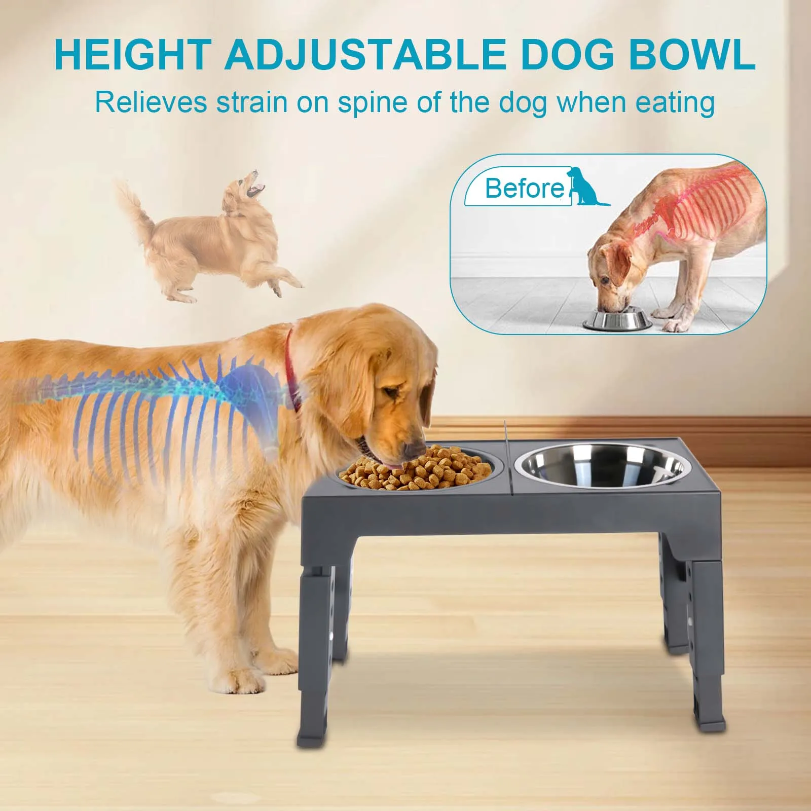 Gamelle surélevée réglable pour chien avec deux bols en inox dans une cuisine moderne