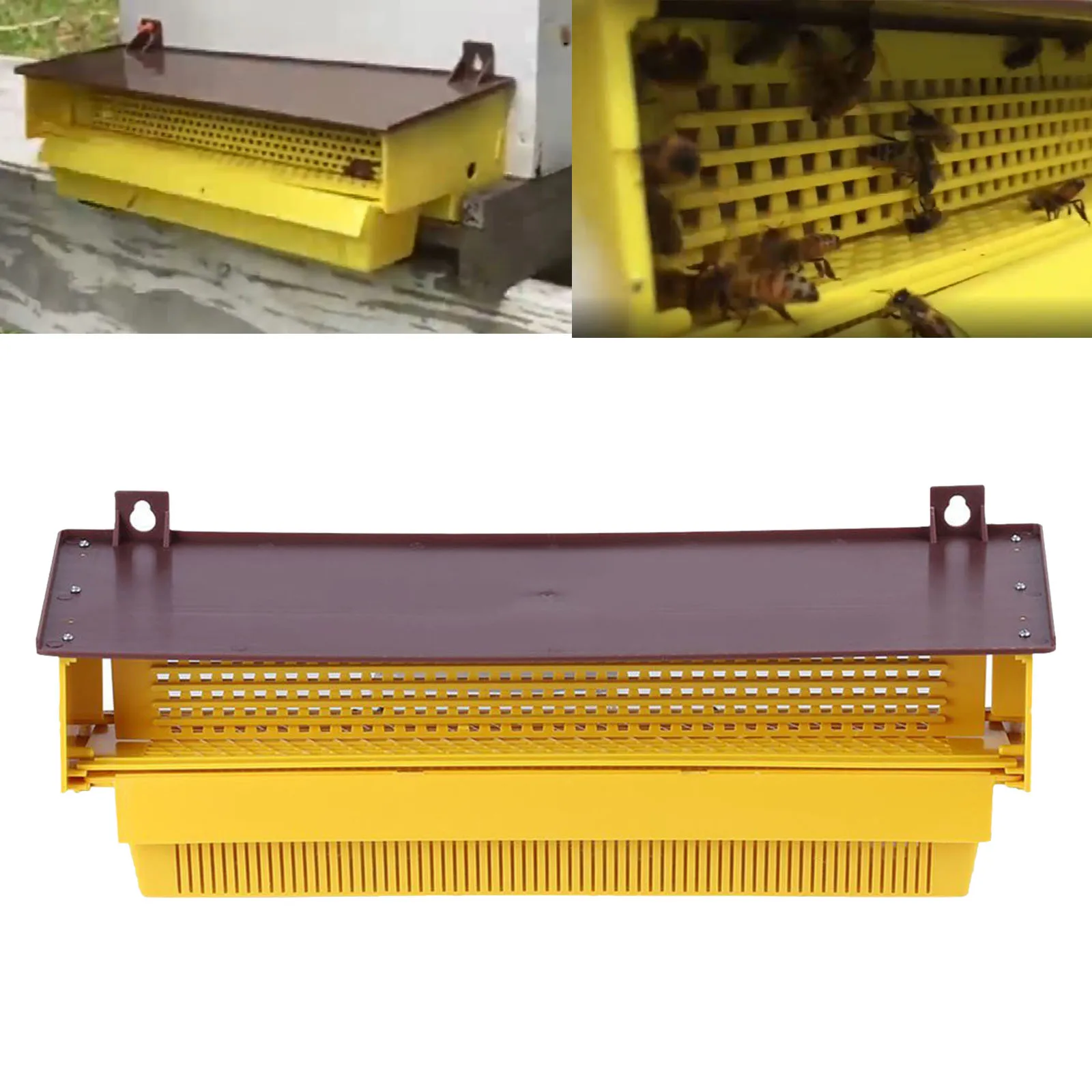 Beekeeping Pollen Trap Tray Hanging Pollen Trap Collector Removable Beekeeping Supplies Sturdy Ventilated Accessory for Beehives