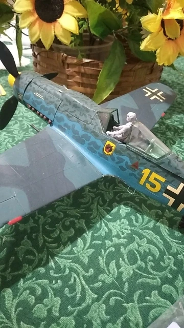 Buyer photo of this resin kit