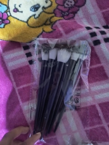 13-piece Premium Makeup Brush Set