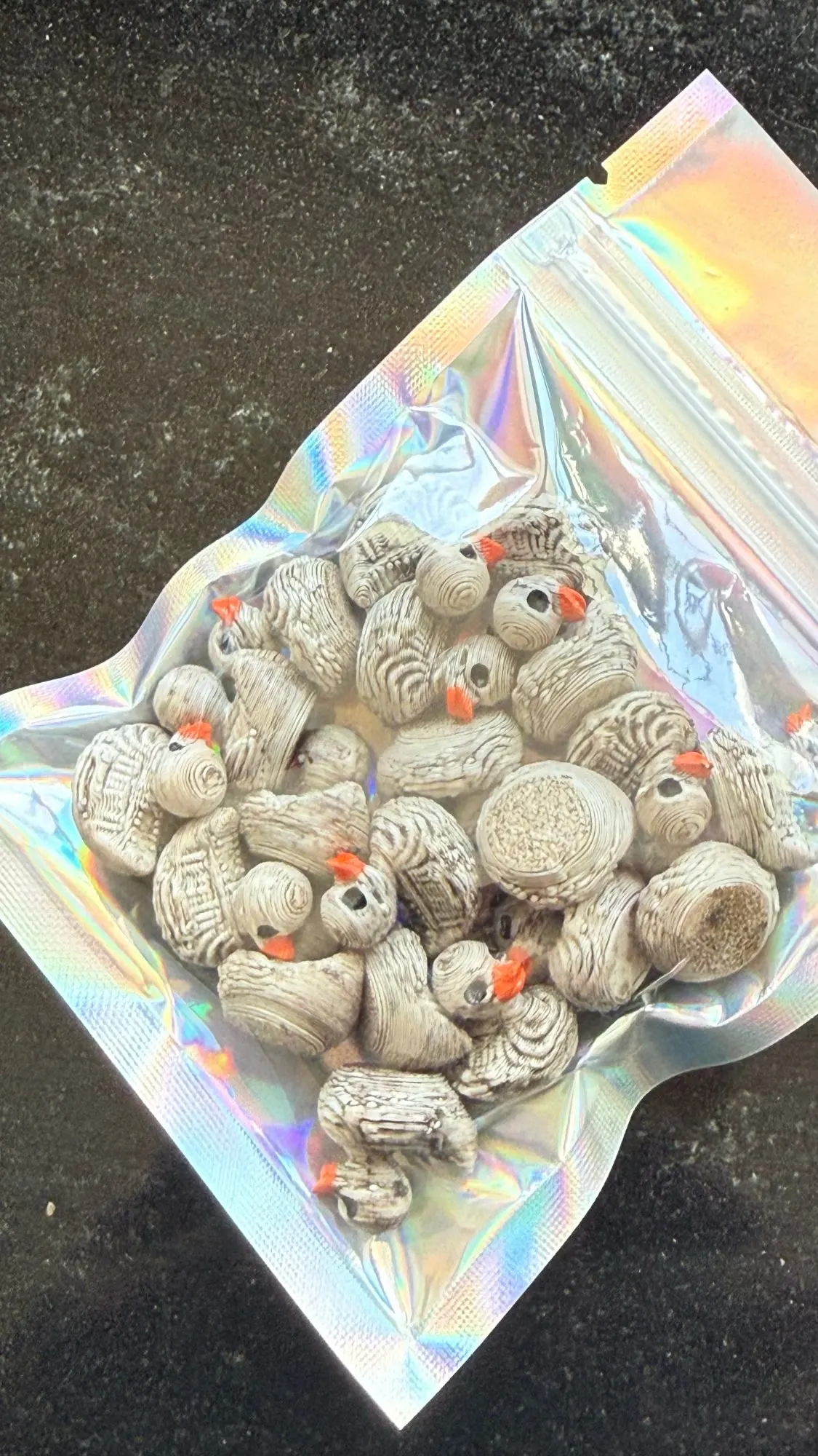 리뷰 사진