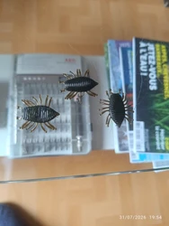 Imagen de reseña 2