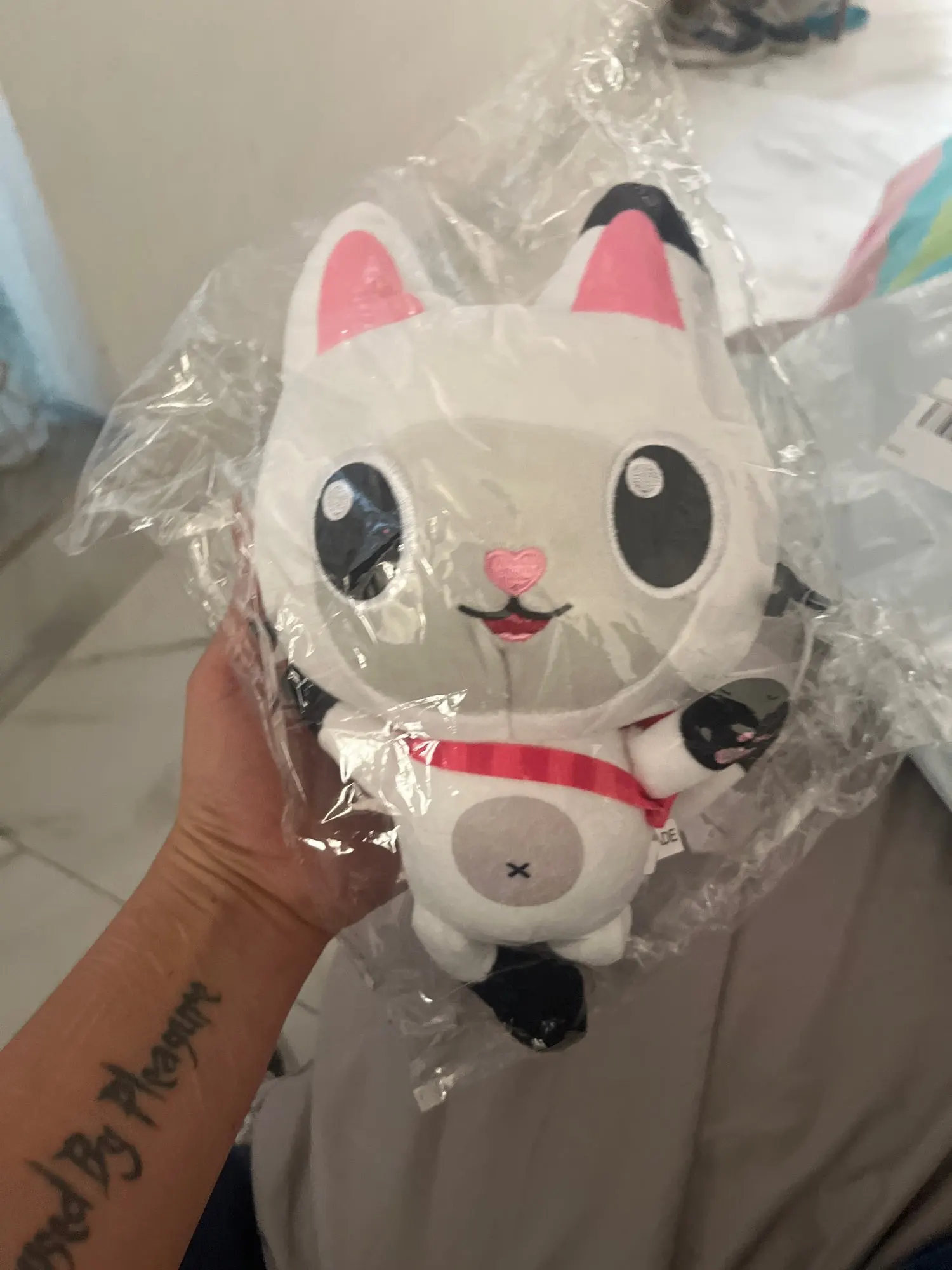 리뷰 사진